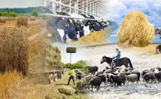 Рост числа сельхозкооперативов в Казахстане: объединение фермеров для совместного развития