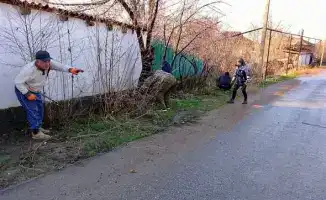 Благоустройство Сарыагаша: работы в полном разгаре