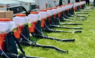 В Туркестанской области началась подготовка к борьбе с саранчой под руководством заместителя акима