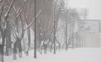 Прогноз погоды в Астане и Алматы на 5, 6 и 7 февраля: морозы и снег от синоптиков Казгидромета