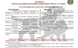 Разъяснительная работа для владельцев домашних животных в Астане о правилах выгула собак