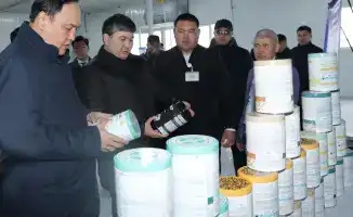 Талас: от цехов до интернатов — всё в одном рейде!