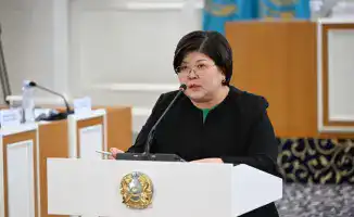 Готовность проекта новой Конституции Казахстана к референдуму: значимость для гражданских прав и свобод