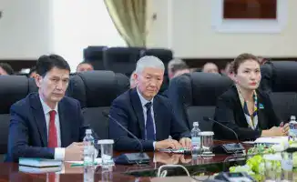 Меры профилактики правонарушений в Шымкенте системный подход и раннее выявление рисков