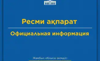 В Жамбылской области введены ограничения движения из-за снегопада