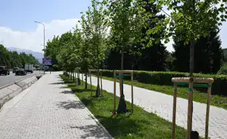 Алматы увеличит зеленые насаждения к 2030 году