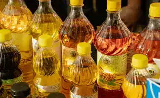 Казахстан: растительное масло в топ-10 мировых экспортеров!