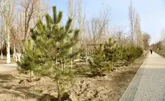Новые культурные объекты изменят облик города и улучшат качество жизни горожан