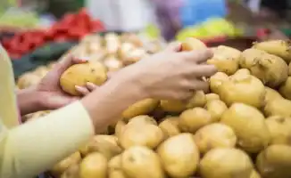 Казахстан: Минсельхоз исключает рост цен на картофель до 700 тенге весной 2024 года