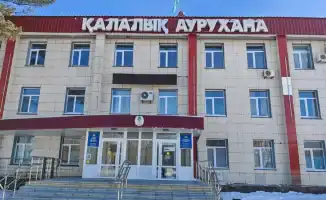 Внеплановая проверка Минздрава: реакция на публикацию блогера в Рудненской городской