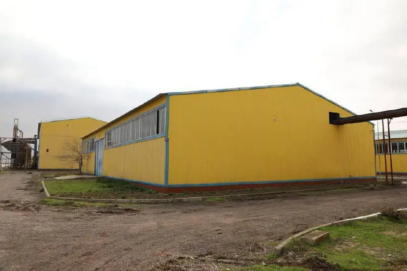 В Туркестанской области запущен завод по переработке масличных культур (3)