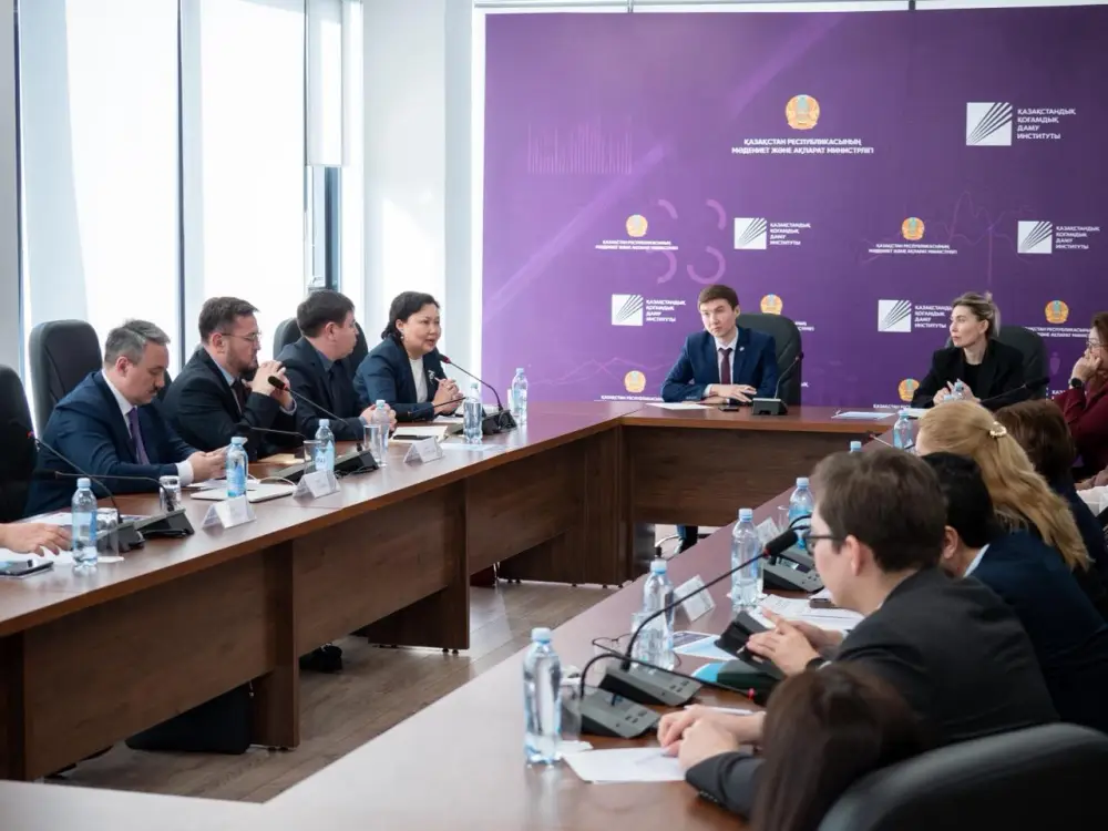 Эксперты обсудили вопросы социальных гарантий в проекте новой Конституции (3)