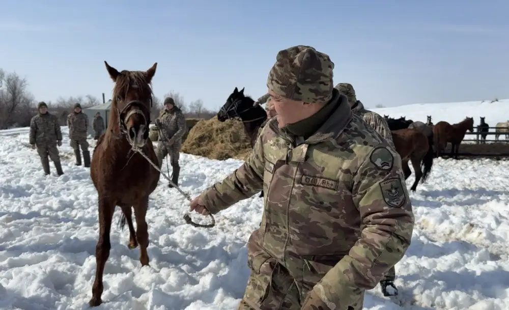 Всадники и лошади: симфония подготовки в горах Актобе
