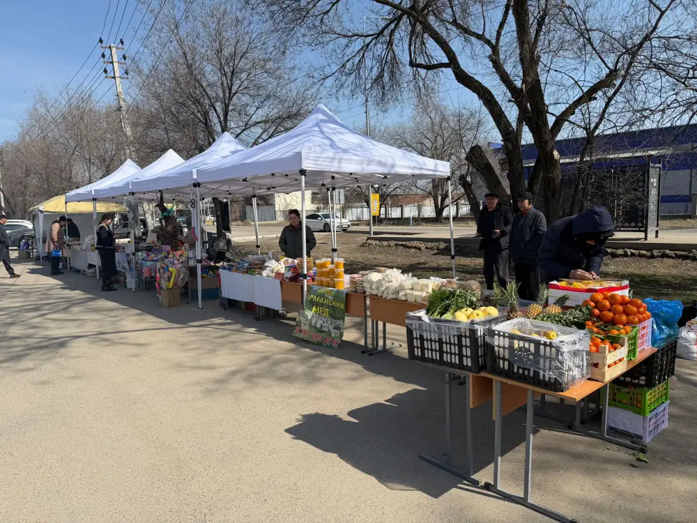 Горожане активно поддержали местных производителей на ярмарке сельхозпродукции в Алатау во время референдума Актобе