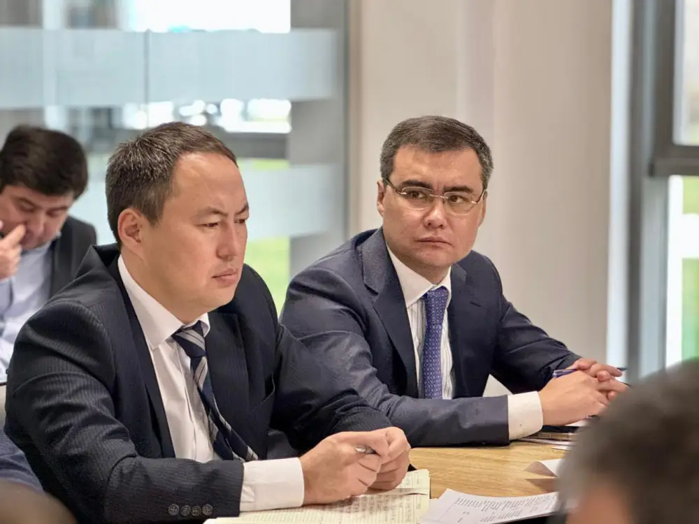 В Туркестанской области началась подготовка к борьбе с саранчой Актобе