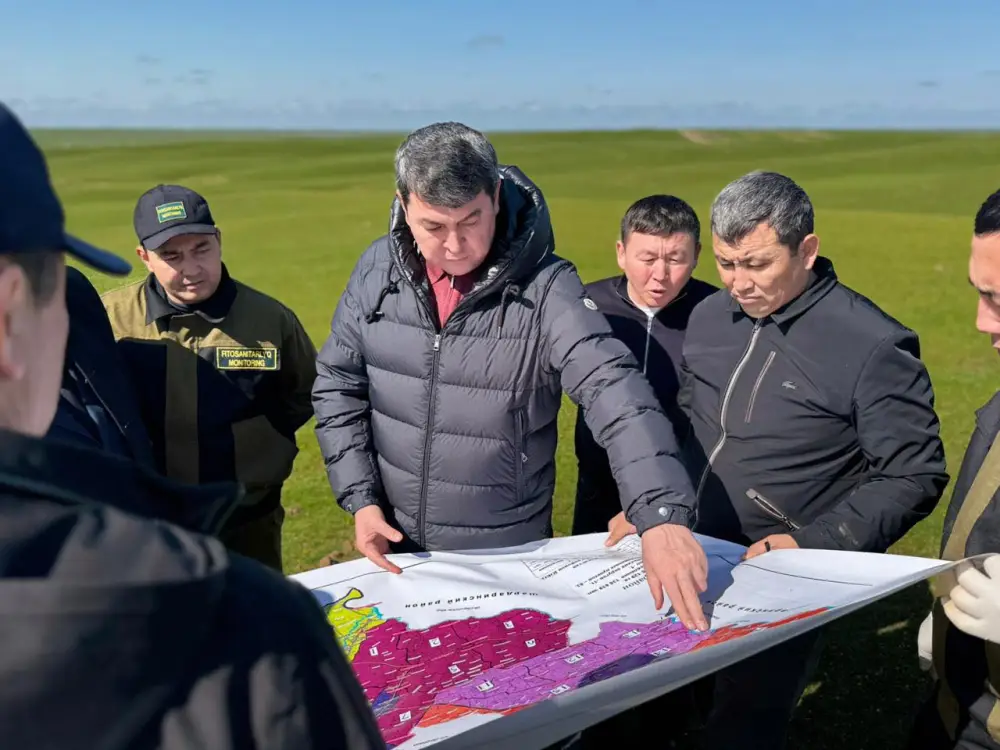 Борьба с саранчой в Туркестанской области Актобе