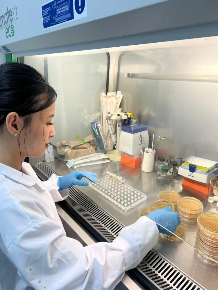 Ученые представили новую растительную добавку для поддержки иммунной системы и профилактики диабета Актобе