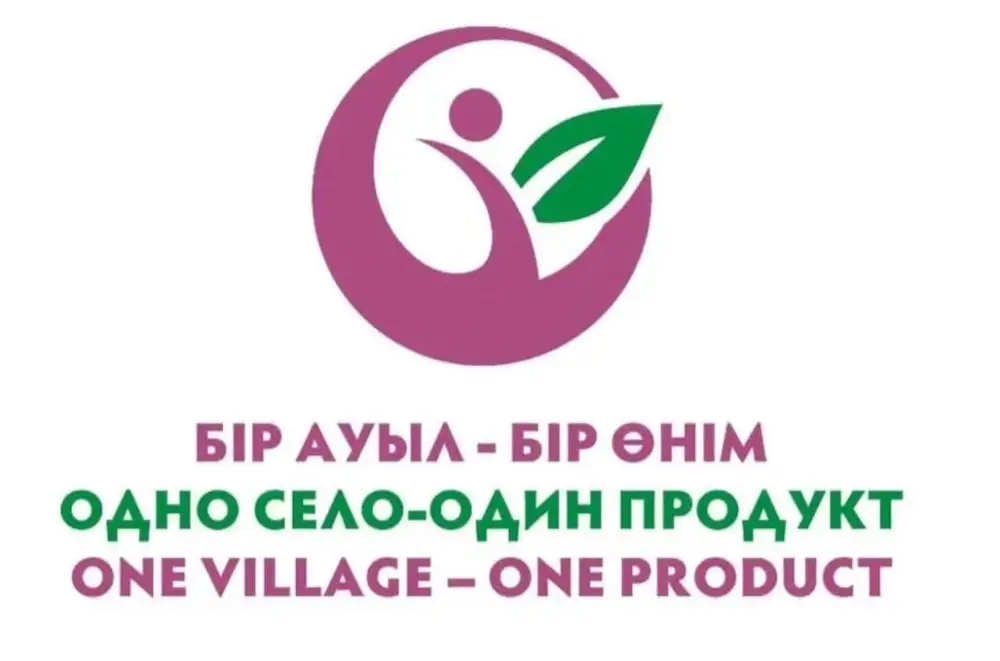 Карагандинская область открыла приём заявок для ремесленников на участие в проекте 'Одно село — один продукт' Актобе