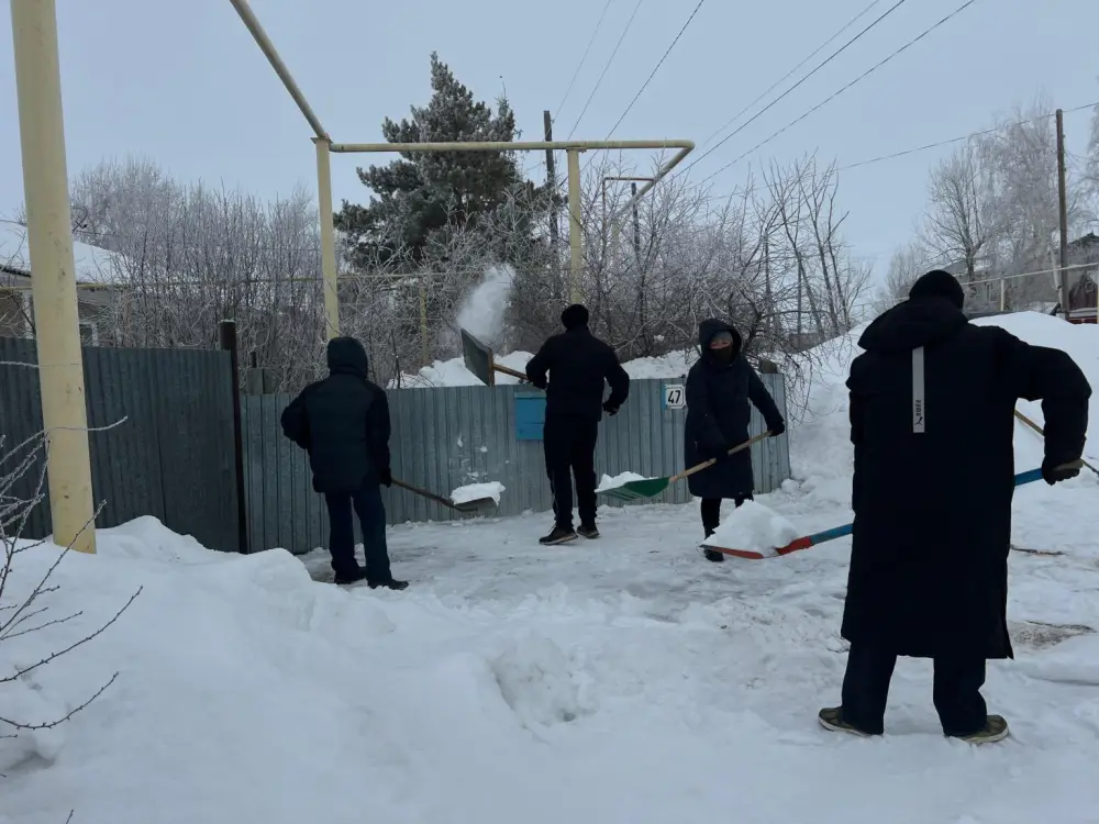 В Денисовском районе волонтёры помогли одинокой пенсионерке в рамках акции «Снежный десант» Актобе