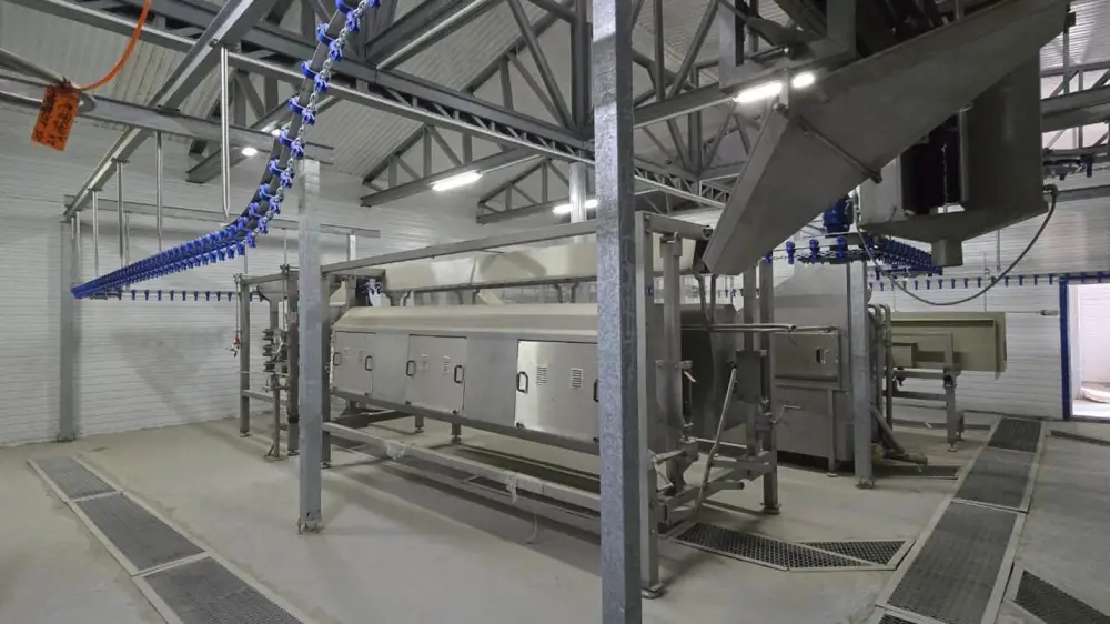 Птицефабрику мощностью 3,5 тыс. тонн в год запустят в Кызылординской области (3)