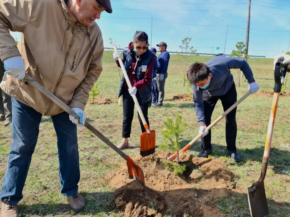 Более 60 тысяч казахстанцев вовлечены в экологическое волонтерство (4)