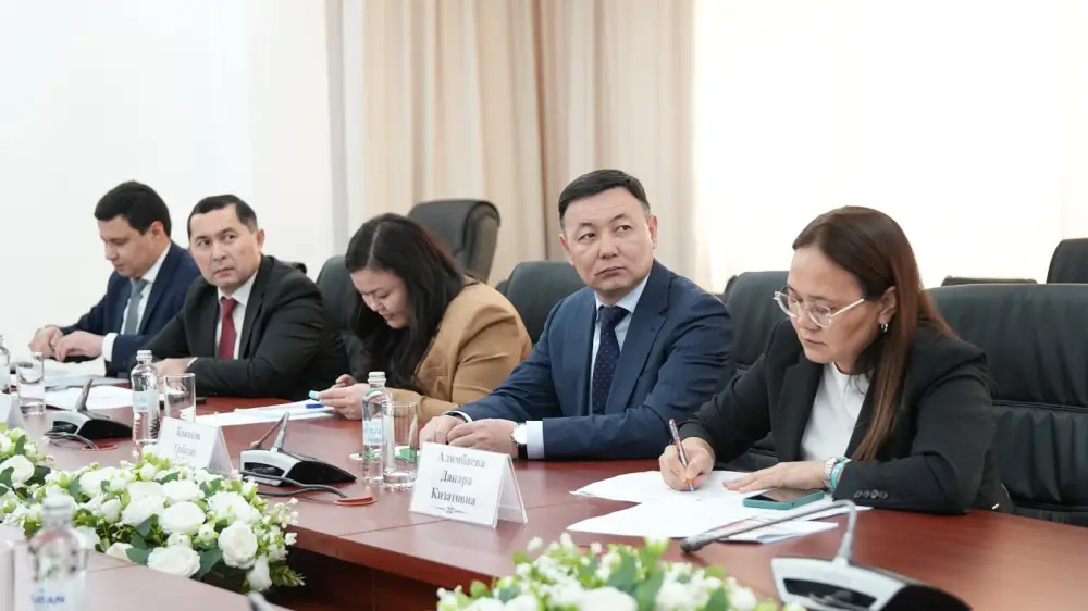 Онлайн встреча Министра экологии с Председателем Национального комитета по экологии и изменению климата Узбекистана (3)