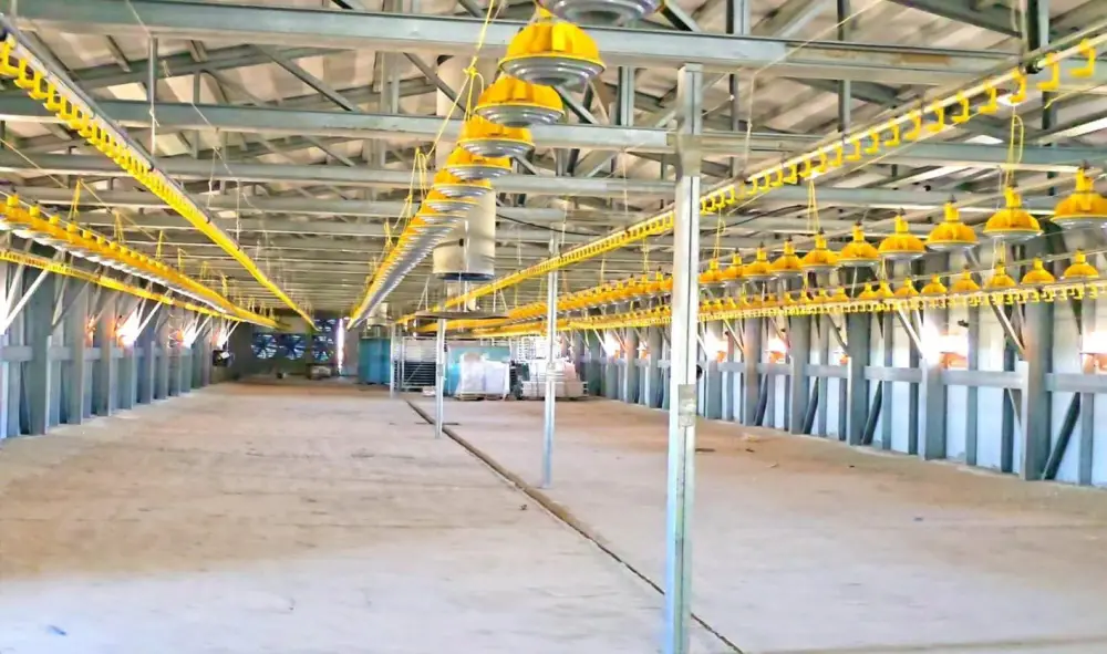 Запуск новой птицефабрики в Кызылординской области: вклад в местную экономику и создание рабочих мест Актобе