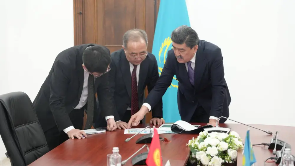 Встреча с Чрезвычайным и Полномочным Послом Кыргызской Республики в Республике Казахстан (6)