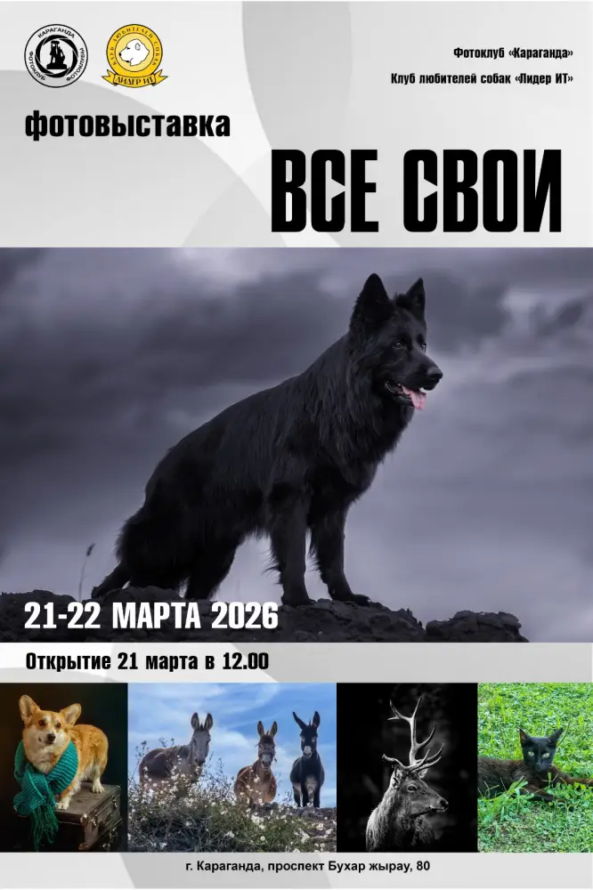 Выставка собак и фотоснимков животных в Караганде: объединение искусства и заботы о домашних любимцах Актобе