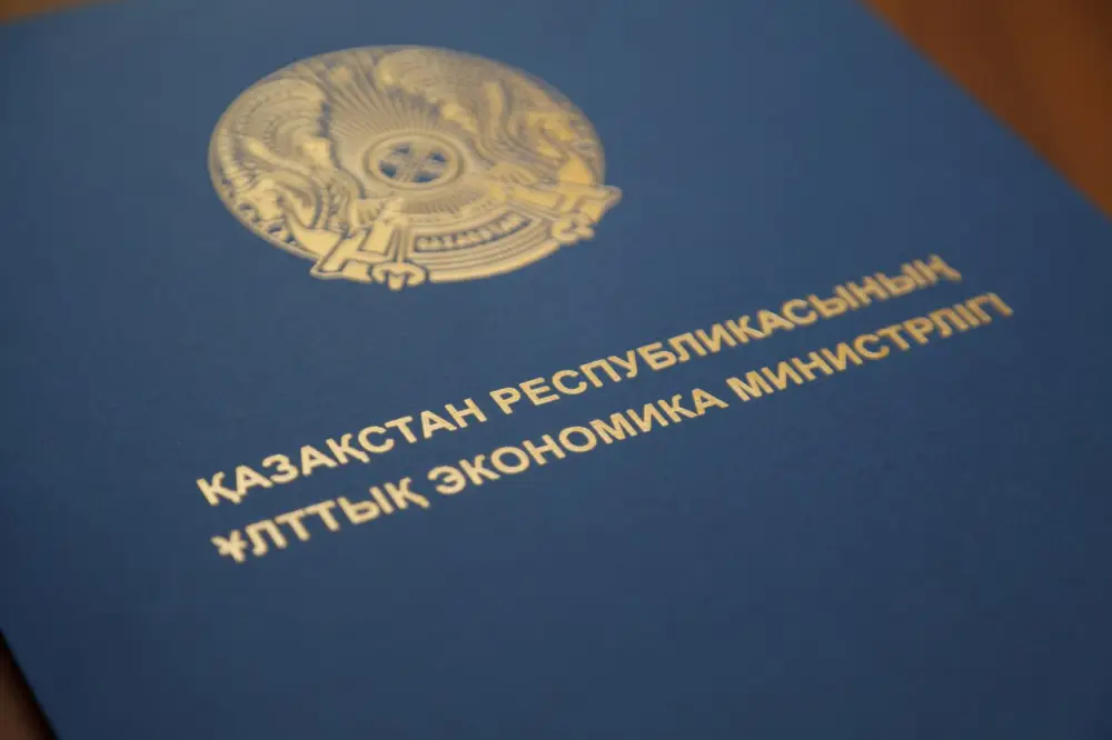 Число социальных предпринимателей в Казахстане удвоилось Актобе