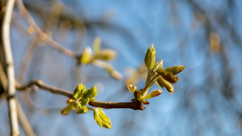 Апрель в Астане и Алматы: тепло или холодный сюрприз? Актобе