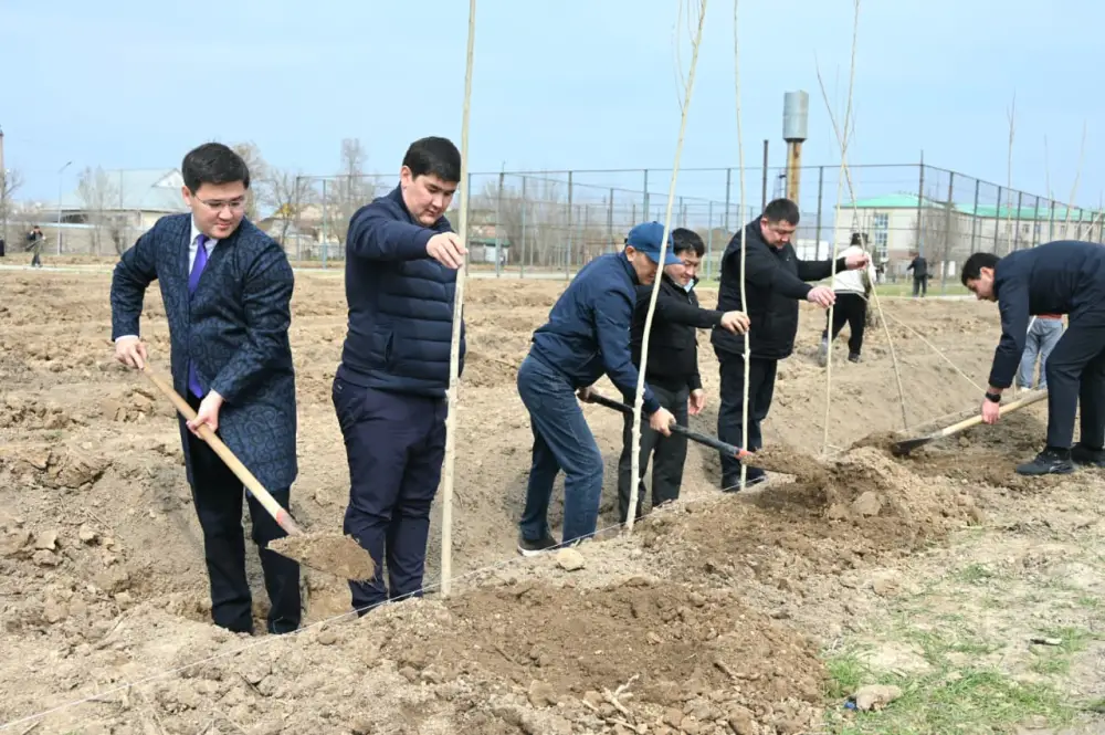 В Жетысайском районе высажено 5 тысяч саженцев в рамках декады "Наурызнама" Актобе