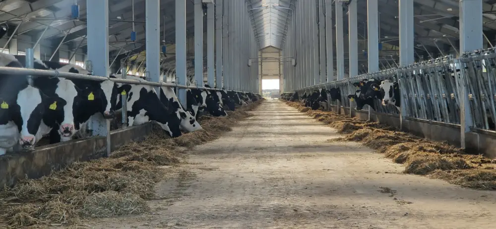 Льготные кредиты на животноводство в Казахстане Актобе