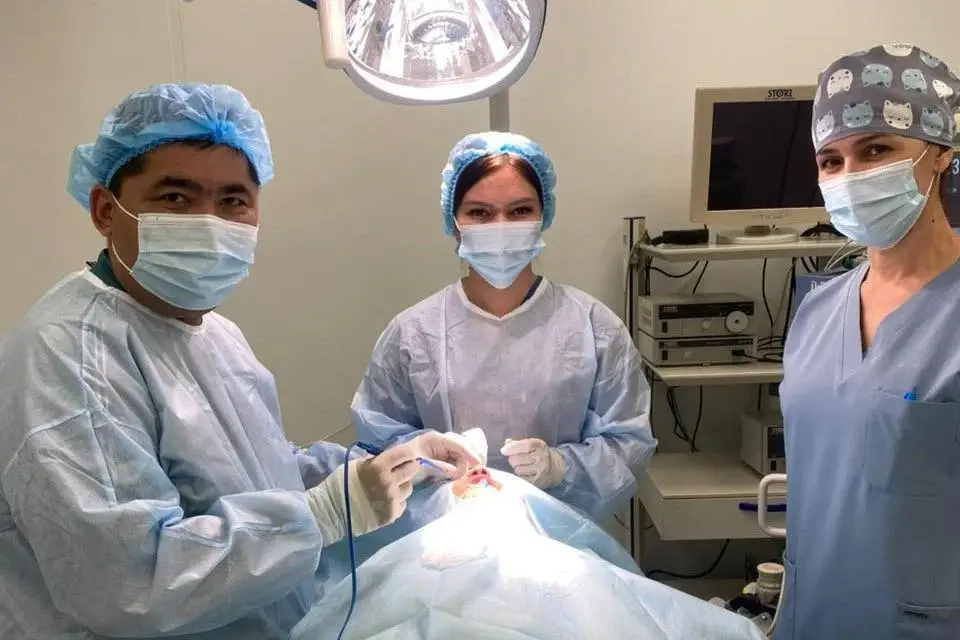 Туркестан: медицина будущего уже сегодня! Актобе