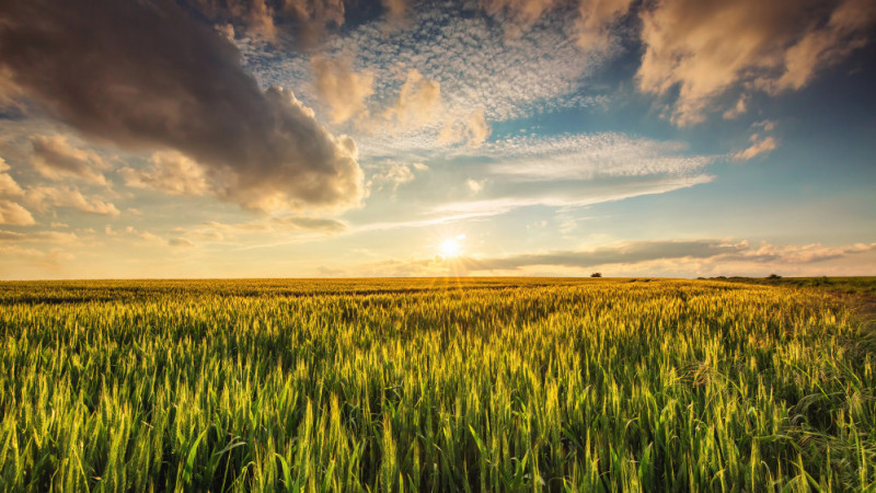 Казахстан: весна и лето 2026 — погода без сюрпризов? Актобе