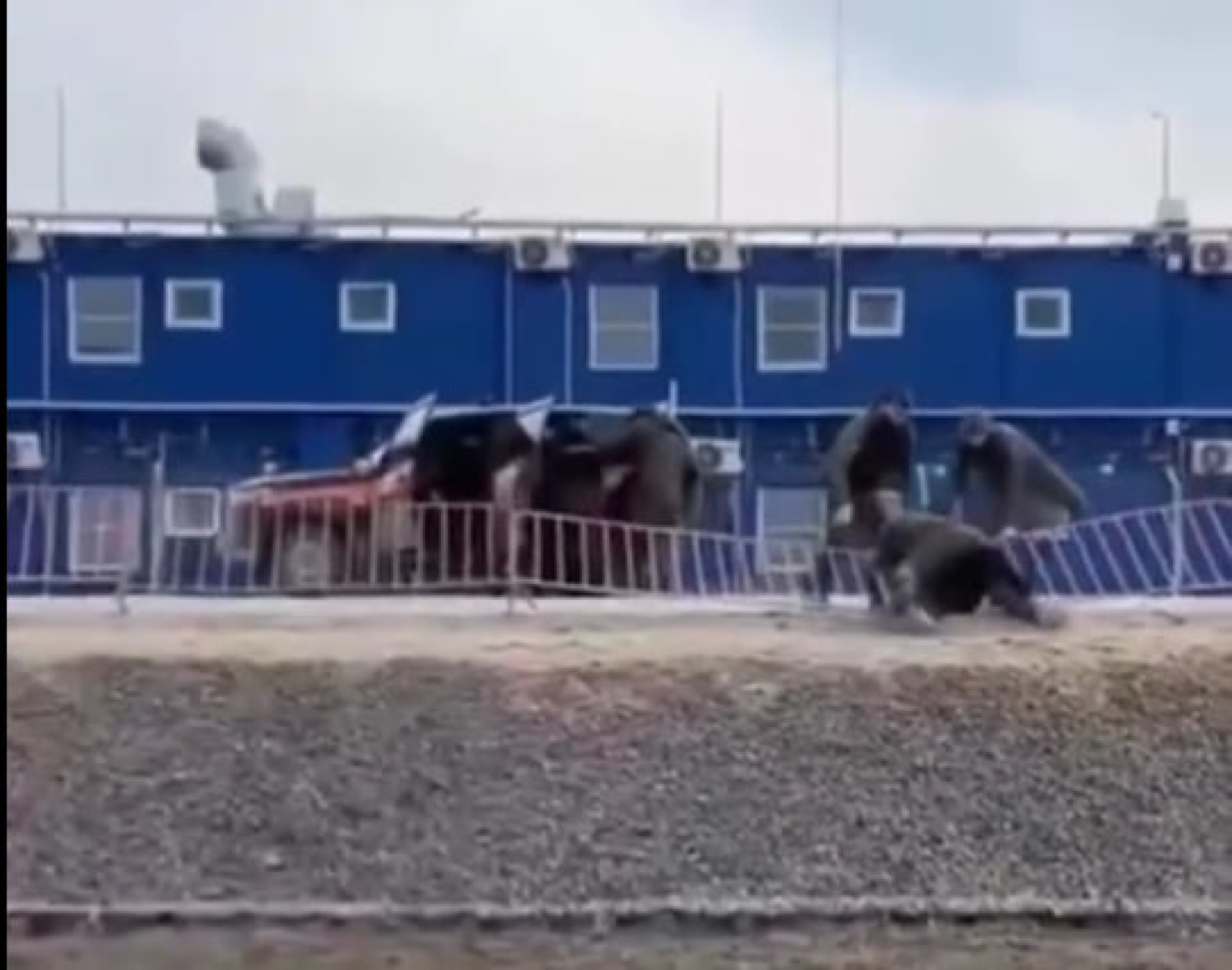 Кадр видео в Threads