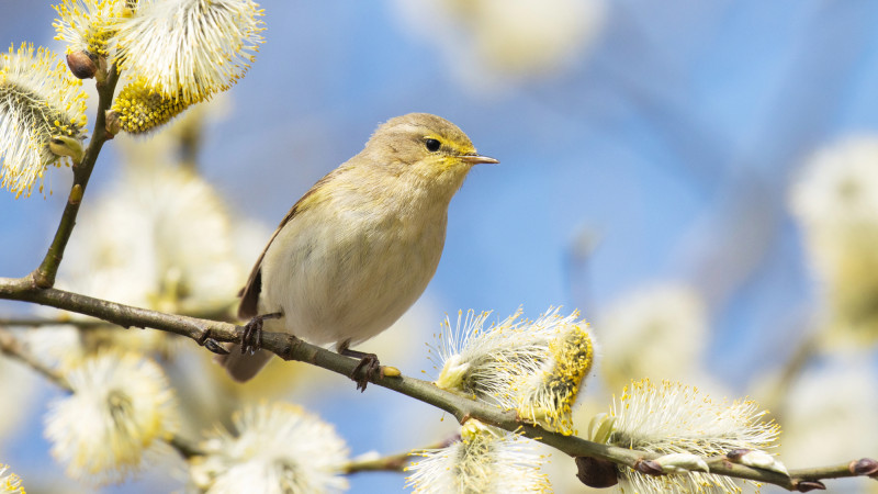 Прогноз погоды в Астане, Алматы и Шымкенте на 24, 25 и 26 марта Актобе