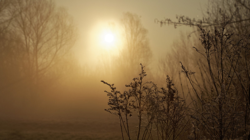 Штормовые предупреждения в Астане, Алматы, Шымкенте и регионах Казахстана 24 марта Актобе