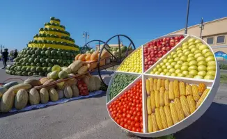 В ТУРКЕСТАНСКОЙ ОБЛАСТИ ЗА ТРИ ГОДА СОЗДАН 201 НОВЫЙ СЕЛЬСКОХОЗЯЙСТВЕННЫЙ КООПЕРАТИВ