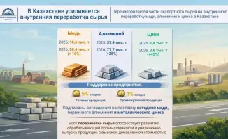 Казахстан усиливает поддержку глубокой переработки сырья для увеличения обрабатывающей промышленности