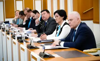 Влияние международных наблюдателей на референдум по новой Конституции: оценка рисков и возможностей