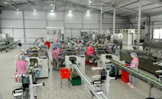 ТОО Радуга вклад в экономику региона создание рабочих мест 2025 год продукция 20 миллиардов тенге налоги 3 5 миллиарда тенге