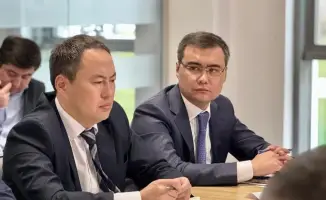 В Туркестанской области началась подготовка к борьбе с саранчой