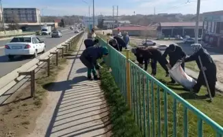 ТУРКЕСТАН: МЕЖДУНАРОДНЫЙ СУББОТНИК В САРЫАГАШЕ В РАМКАХ ПРОГРАММЫ "ТАЗА ҚАЗАҚСТАН"