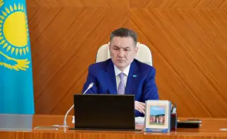 Международные меры по подготовке к паводкам и обеспечению пожарной безопасности в Восточном Казахстане