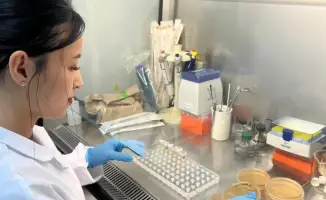 Ученые представили новую растительную добавку для поддержки иммунной системы и профилактики диабета