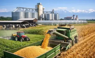 Almaty Region Implements 7 Agricultural Projects Worth 44.6 Billion Tenge to Boost Production and Create Jobs
