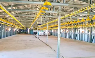 Запуск новой птицефабрики в Кызылординской области: вклад в местную экономику и создание рабочих мест