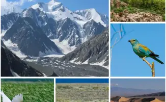 Казахстан утвердил стратегию сохранения природы