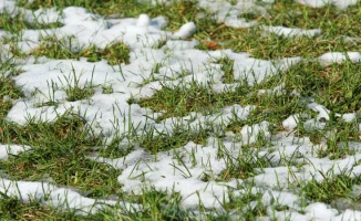 Погода в Астане и Алматы 27, 28, 29 марта: До +24 и гололедица по прогнозу Казгидромета